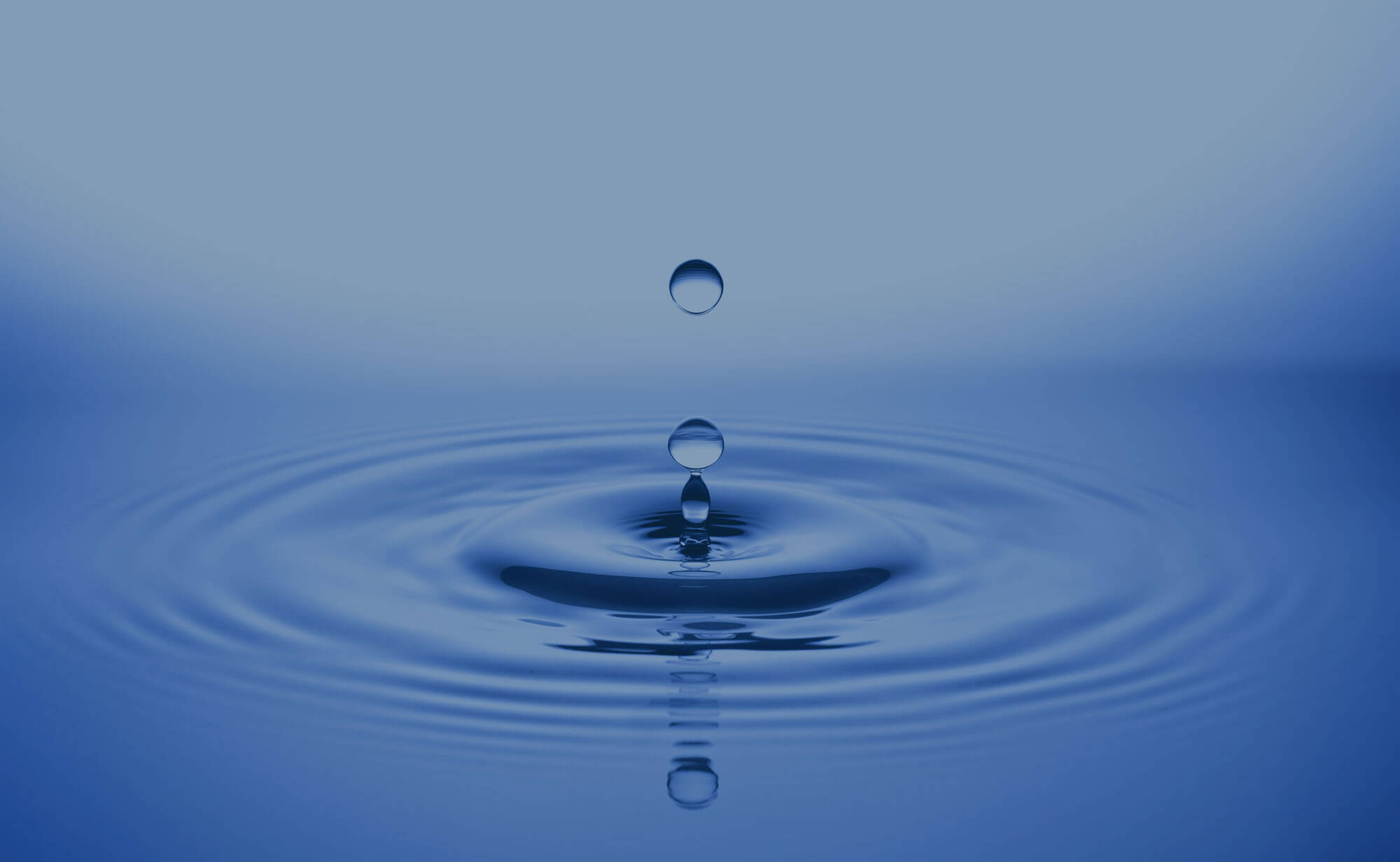 Alexa Springs Water Co photo 14