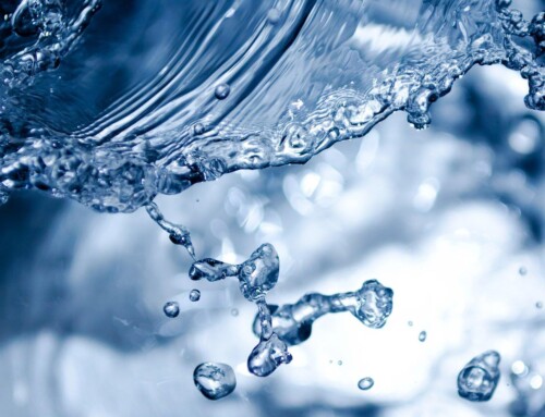 Selecting a Quality Water Source: Spring Water vs Purified Water